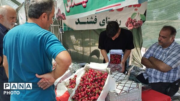 ششمین دوره بازارچه گیلاس و صنایع دستی روستای فشند ساوجبلاغ 