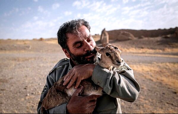 شکار غیرمجاز تهدید جدی برای حیات‌وحش ساوجبلاغ است