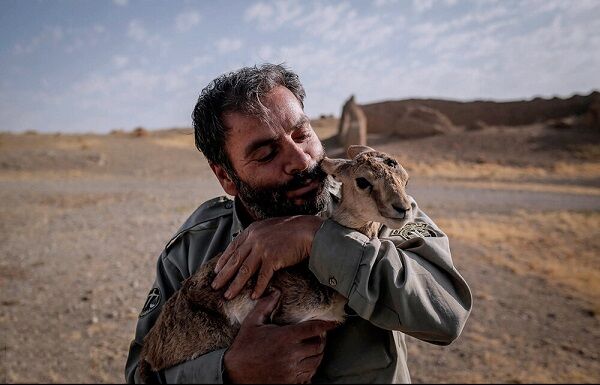 شکار غیرمجاز تهدید جدی برای حیات‌وحش ساوجبلاغ است
