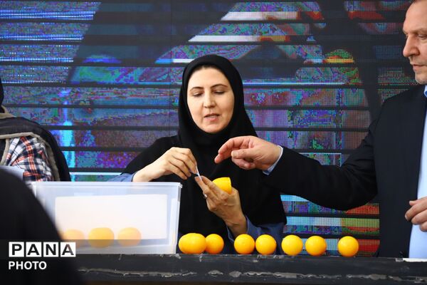 جشنواره بزرگ خریداران ماهی در تبریز
