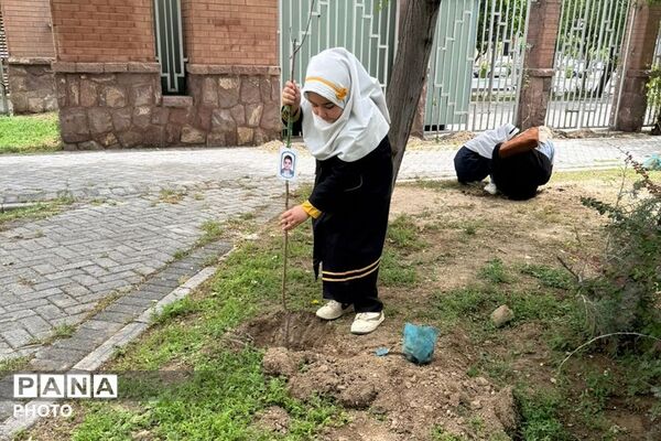 کاشت نهال در هفته معلم به نیابت از شهدای فرهنگی و دانش‌آموز در فرهنگسرای ولاء ناحیه دو شهرری 