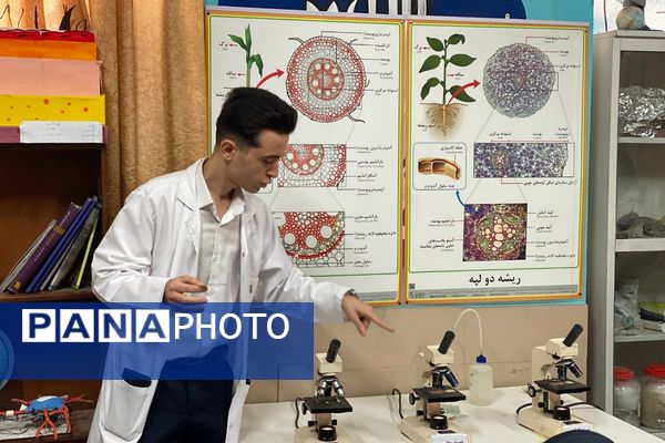 گامی در مسیر کشف حقیقت