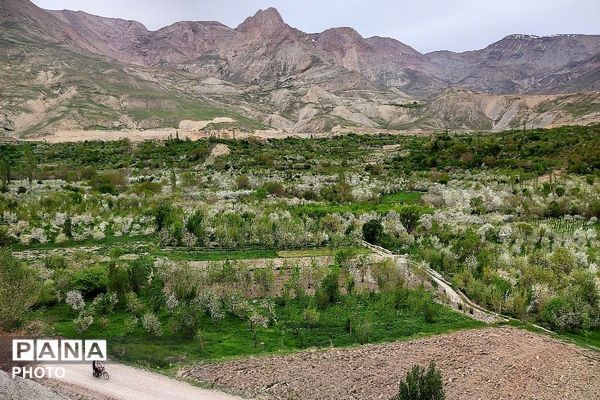حال و هوای شهر بار نیشابور در فصل زیبای بهار