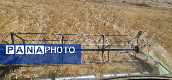 بازدید برداشت گندم در شهرستان فاروج