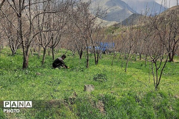 سیزده بدر روز طبیعت ۱۴۰۵در شهر بار نیشابور 