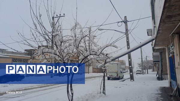 عروس فصل‌ها باری دیگر مهمان شهرستان بن