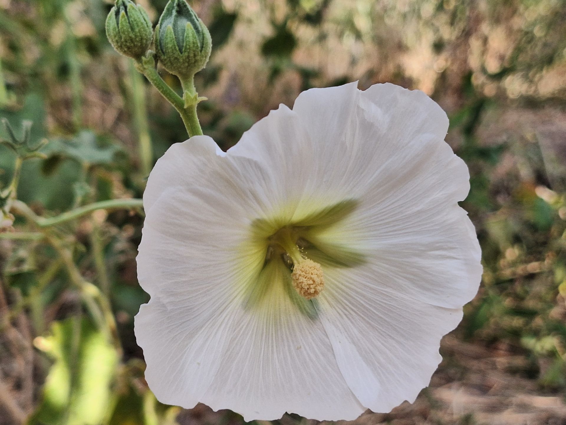 وقتی طبیعت، حرف می‌زند