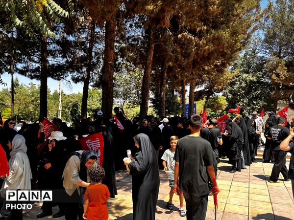 پیاده روی اربعین از میدان سپاه هشتگرد تا امامزاده هادی ینگی امام