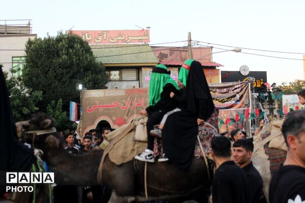 ورامین بار دیگر در سوگ اسارت؛ کاروان نمادین کربلا در خیابان‌های ورامین به حرکت درآمد