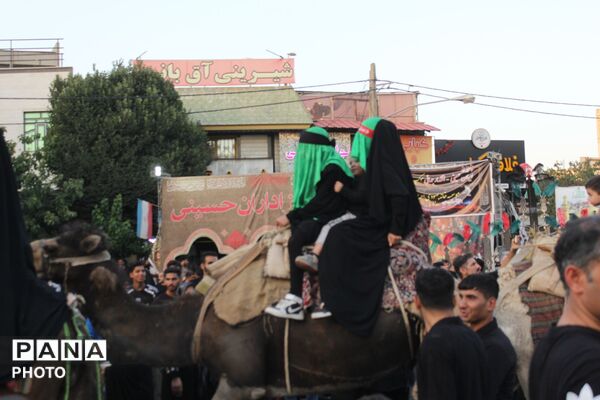 ورامین بار دیگر در سوگ اسارت؛ کاروان نمادین کربلا در خیابان‌های ورامین به حرکت درآمد