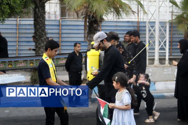 عشق حسینی در دل جنوب 