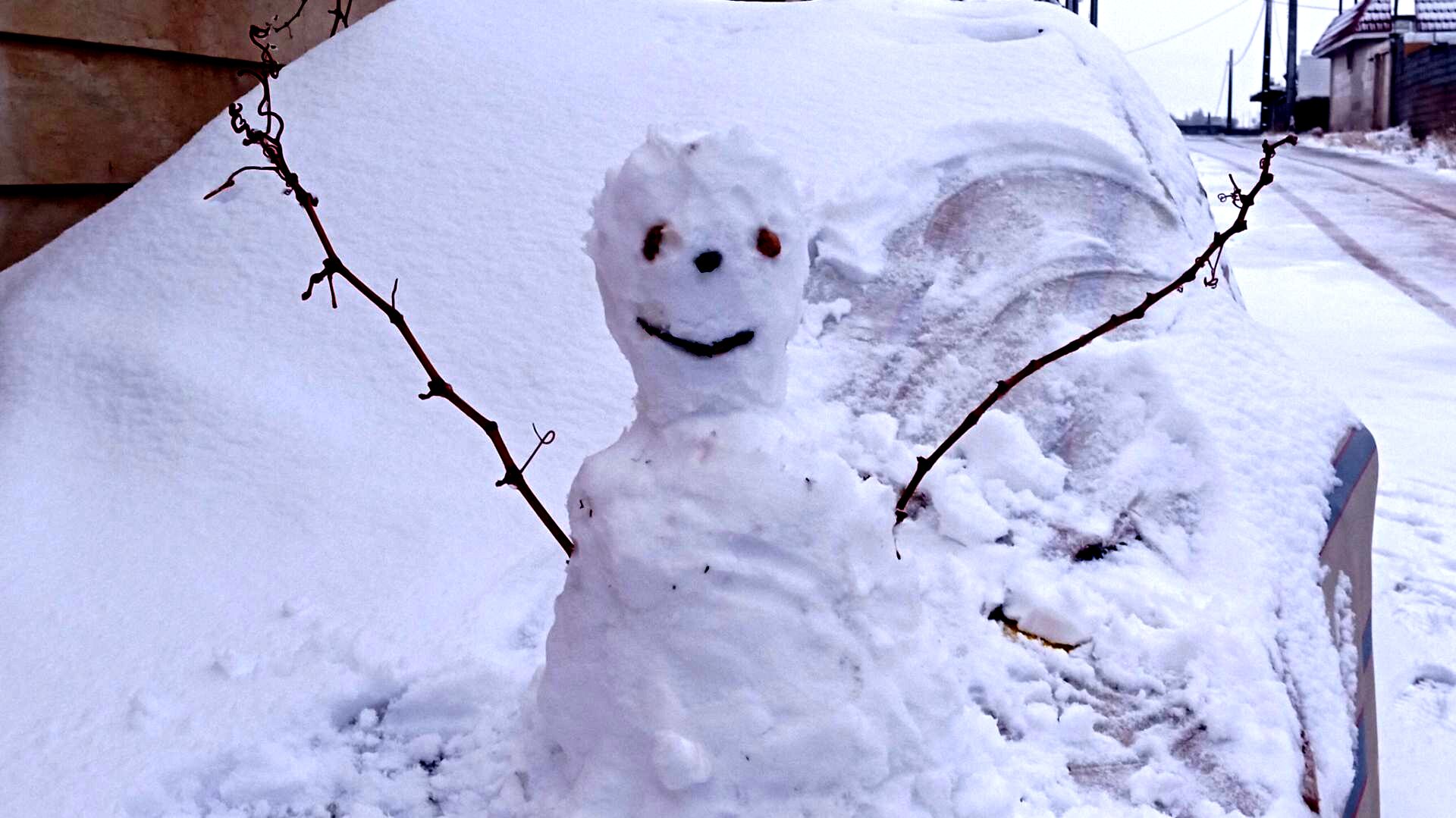 صبحی که خورشید جایش را به برف داد