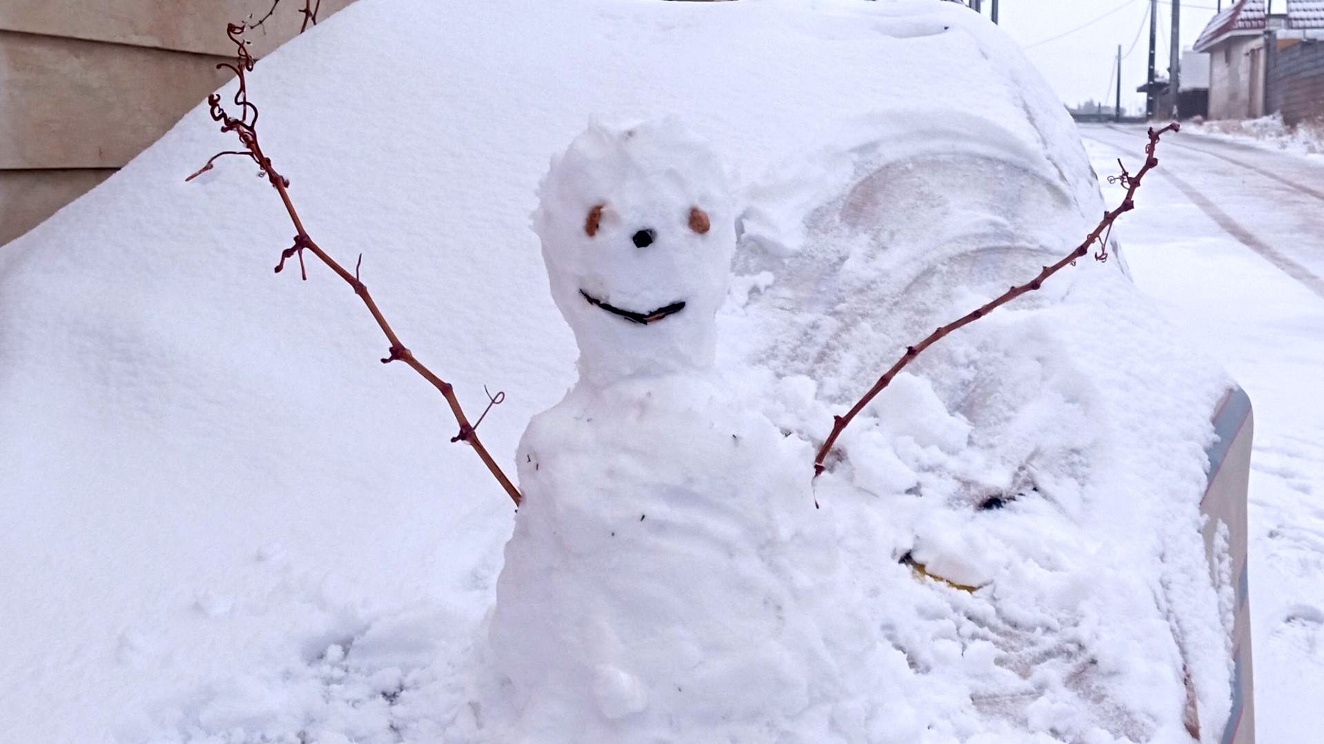 صبحی که خورشید جایش را به برف داد