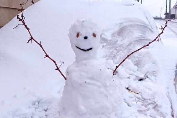 صبحی که خورشید جایش را به برف داد