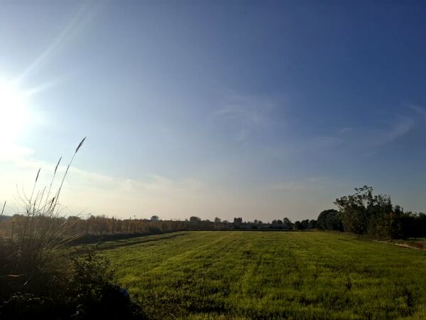 جنگل‌های هیرکانی کردکوی