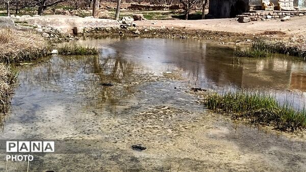 رویش شکوفه های امید در فصل بهار روستای برزنون 
