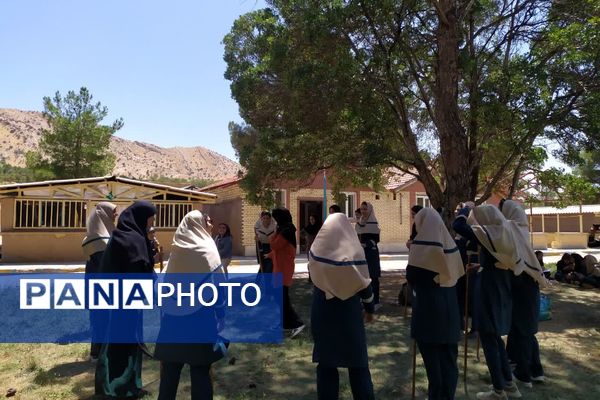 اجرای طرح تمشک ویژه دانش‌آموزان فارس