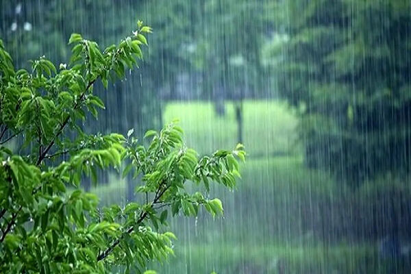 پیش‌بینی بارش و رگبار در شمال کشور طی روزهای آینده