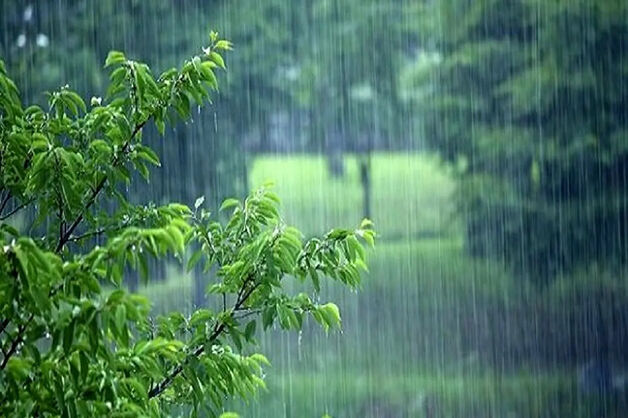 پیش‌بینی بارش و رگبار در شمال کشور طی روزهای آینده