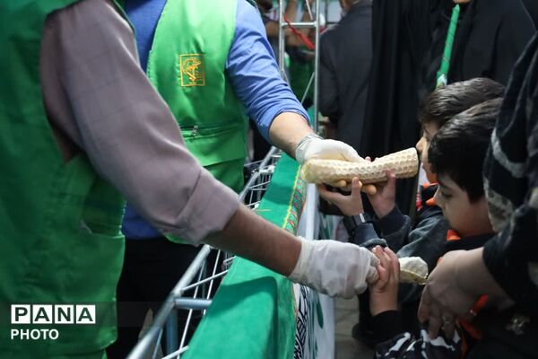 حضور پرشور مواکب طرح شهید آرمان منطقه ۶ در جشن بزرگ «امام رضایی‌ها»در تهران