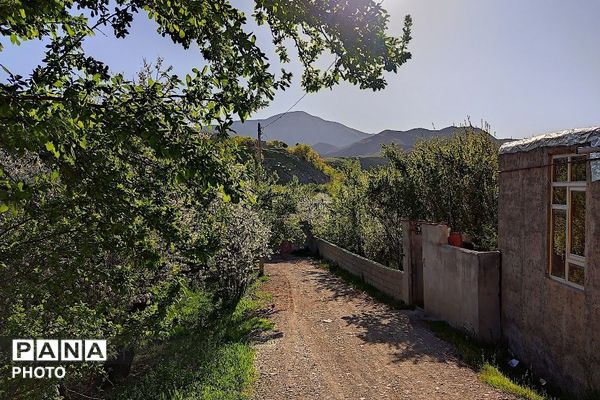 آلبوم تصویری از طبیعت زیبای شهر بار در اردیبهشت‌ماه  ۱۴۰۵ -1