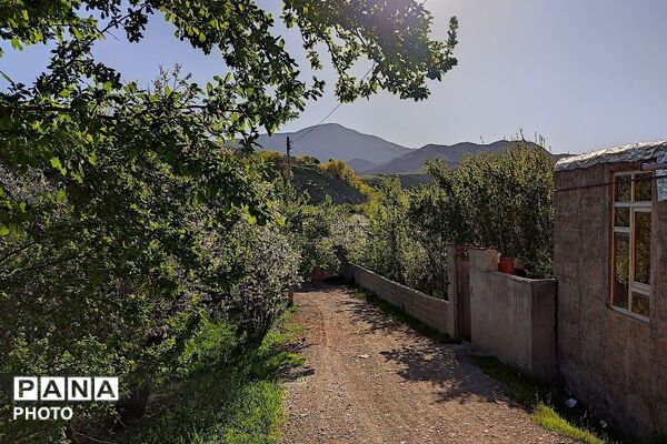 آلبوم تصویری از طبیعت زیبای شهر بار در اردیبهشت‌ماه  ۱۴۰۵ -1