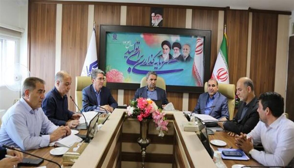 سرعت‌بخشی به برنامه‌های «پروژه ملی مهر»