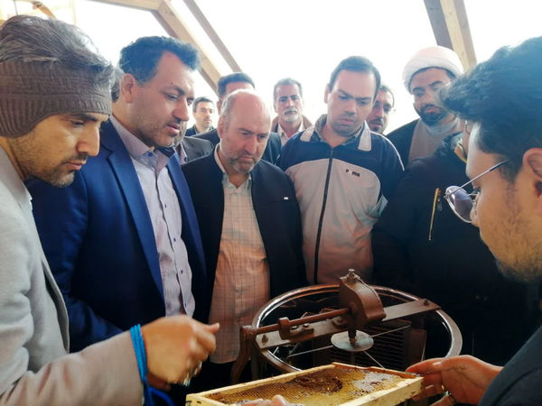 بازدید معاونان پرورشی مدارس قم از «شهر زنبورها»