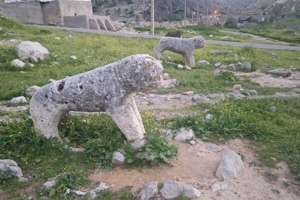 قبرستانی تاریخی و سرسبز به قدمت چند صد ساله در فارس