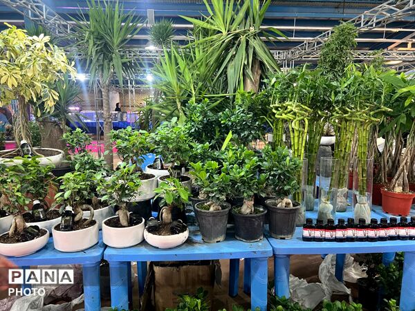 اولین نمایشگاه بهاره گل و گیاه و سوغاتی های محلی در شهرکرد