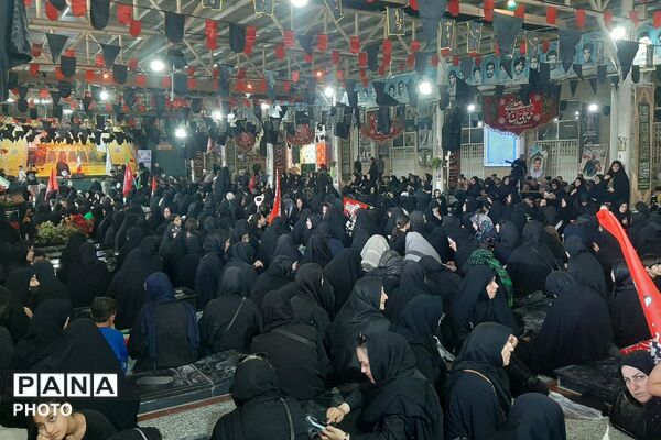 اربعین حسینی؛ روایت تصویر از عشق، ایمان و همدلی