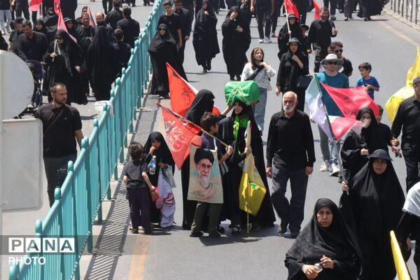 نبض اربعین در مشهد تپید؛ اجتماع باشکوه جاماندگان حسینی