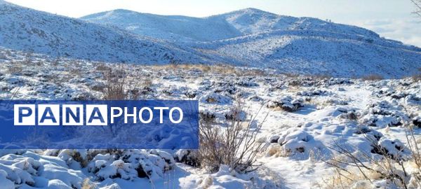 میانکوه در تسخیر برف 