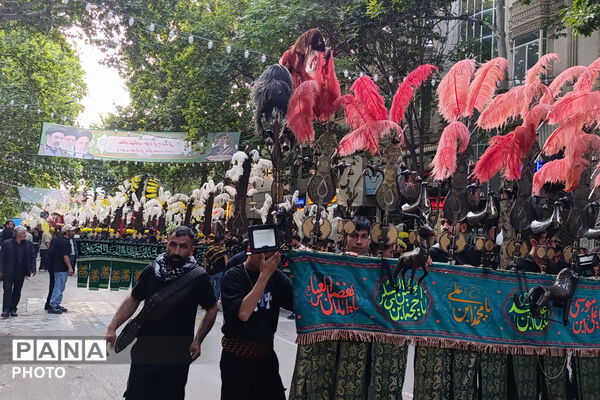آیین باشکوه علم‌گردانی در غروب عاشورا 