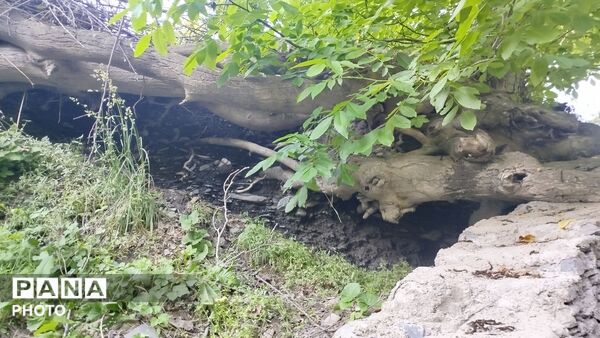 دهبار گنجینه ای پنهان در دل کوهستان که در انتظار بازشناسی است
