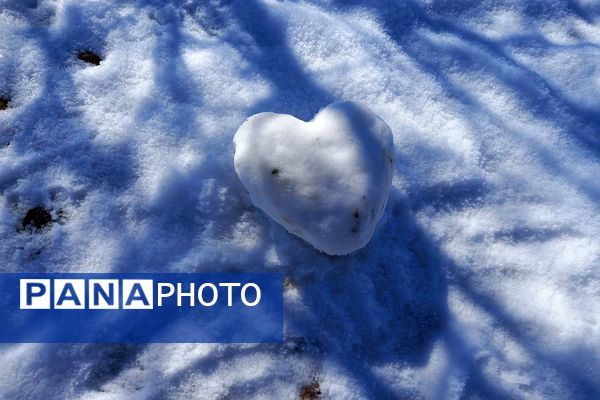 رد پای برف در باغات نهضت آباد اصفهان