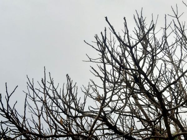 لردگان زیر باران، طراوت زمستانی در دل کوهستان