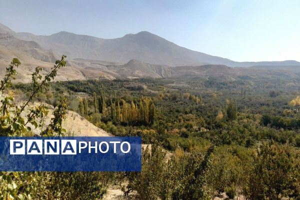 تصاویر زیبا از پاییز رنگارنگ در شهر دار السادات بار نیشابور 