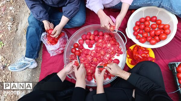 پایان دوره سه‌روزه آموزش مربیان پیشتازان بجنورد