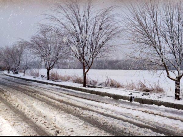 برف زمستانی، مهمان شهرستان کیار