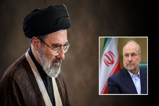 دیدار رئیس مجلس شورای اسلامی با رهبر معظم انقلاب اسلامی