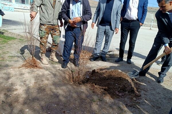 کاشت نهال در مدرسه خدیجه کبری شلمزار