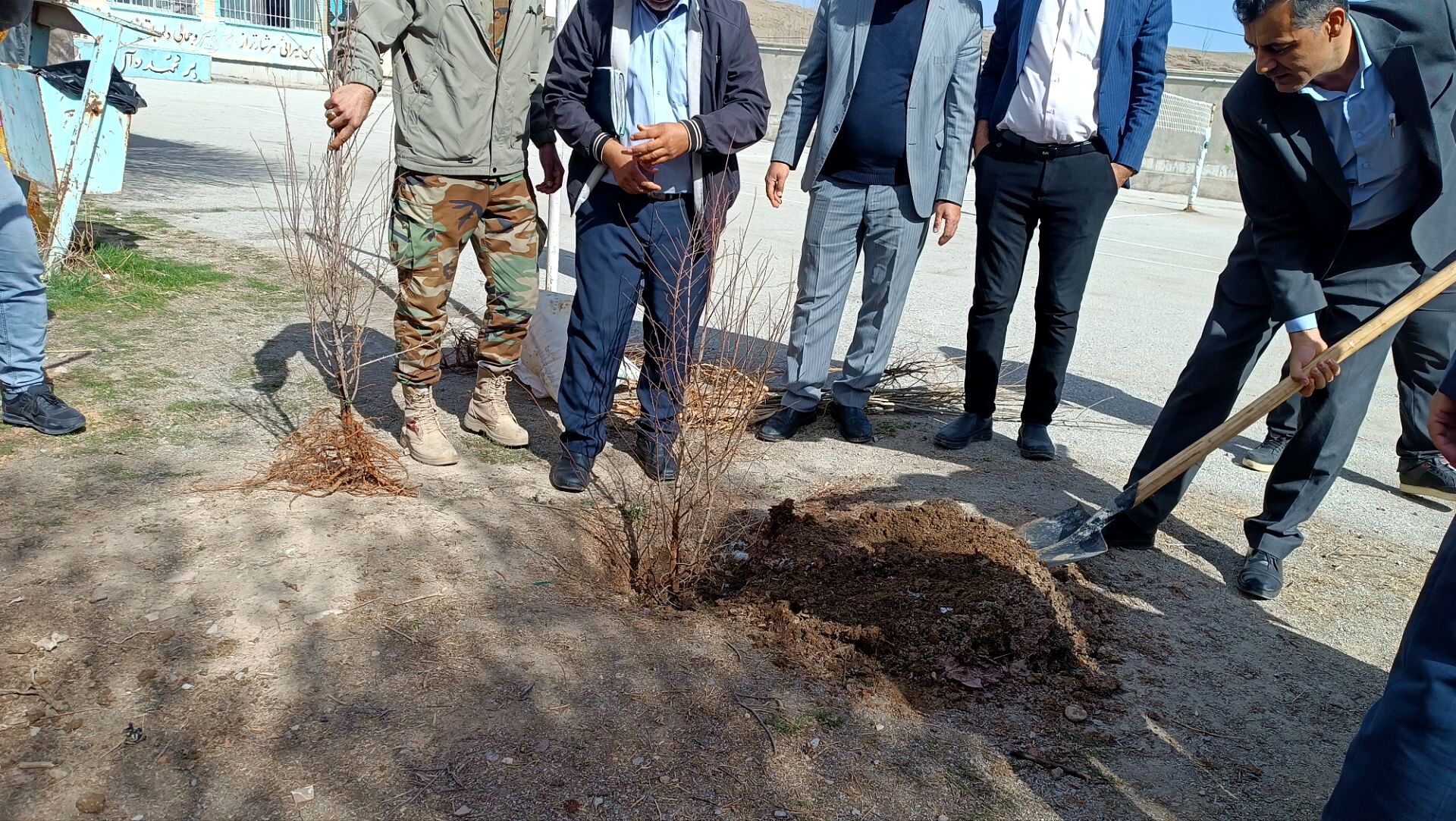 کاشت نهال در مدرسه خدیجه کبری شلمزار