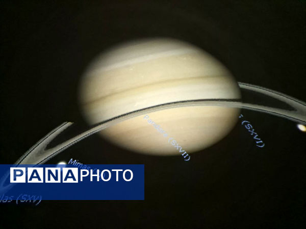 بازدید دانش‌آموزان مدرسه شهدای غزه (1) قم از نمایشگاه تاکسیدرمی کانون پردیسان