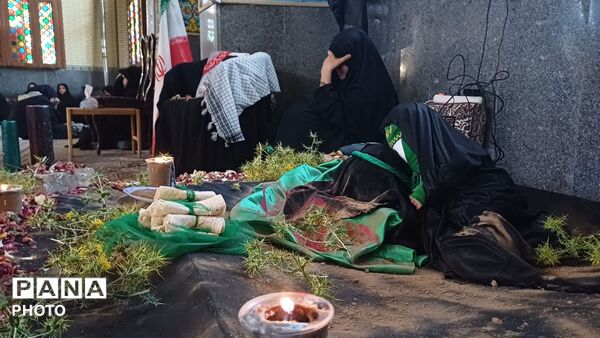 سرتشنیز در سوگِ دردانه حسین (ع)