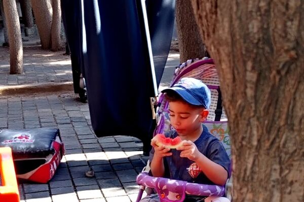 خدمت‌رسانی موکب ها در ایام شهادت حضرت معصومه(س)