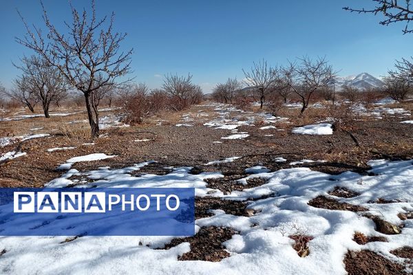 رد پای برف در باغات نهضت آباد اصفهان