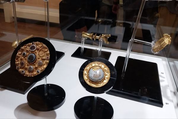 موزه ‌ها؛ میراث‌بانان میراث ملموس جامعه بشری