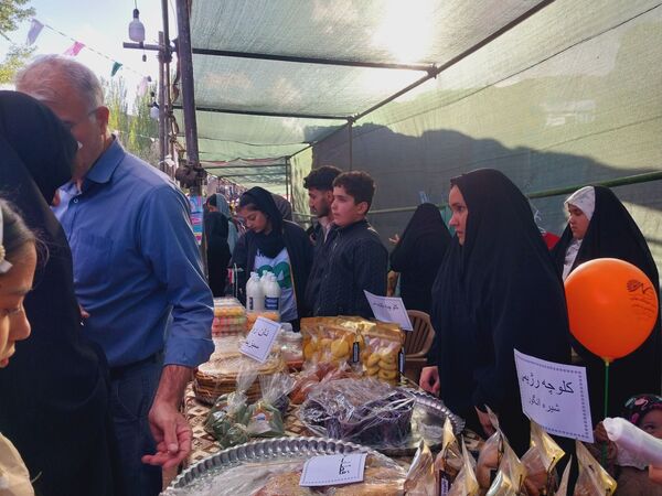 جشنواره ریواس در کوهسرخ