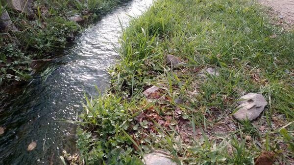 منظره زیبای بهاری در سربیشه